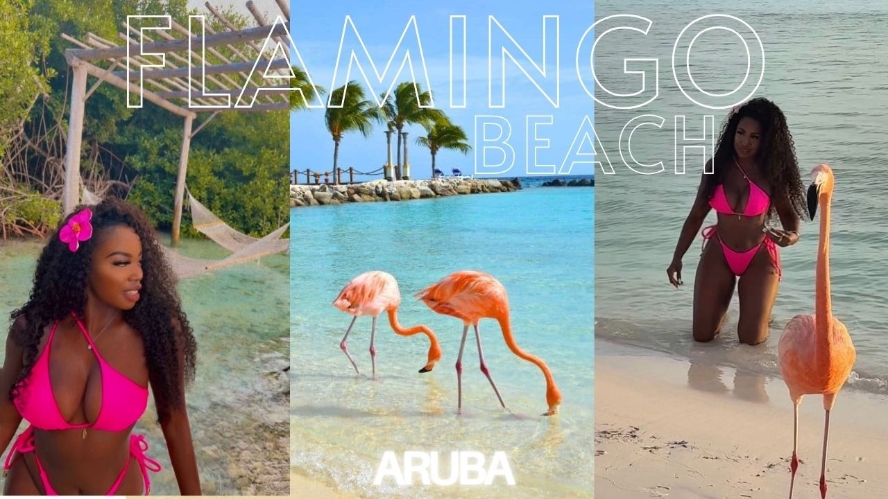 🦩 FLAMINGO BEACH aka FLAMINGO ISLAND in Aruba 🇦🇼 