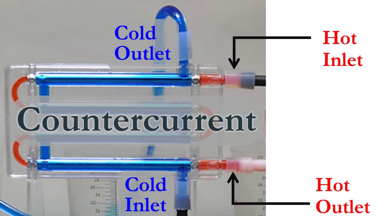 Double Pipe LC-DLM Flow Patterns Tutorial
