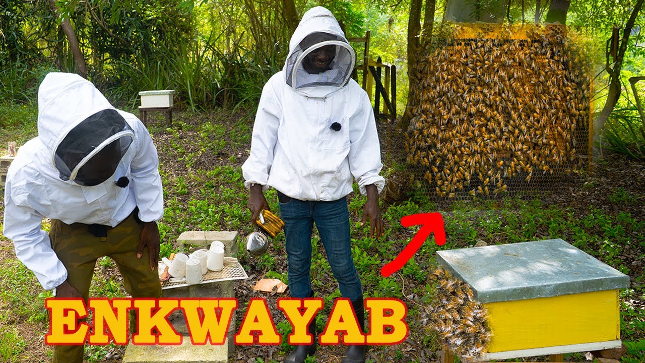 Sa Se Pi gwo eksperyans mwen Janm Fè nan Vi'm!!! Mwen te pè.