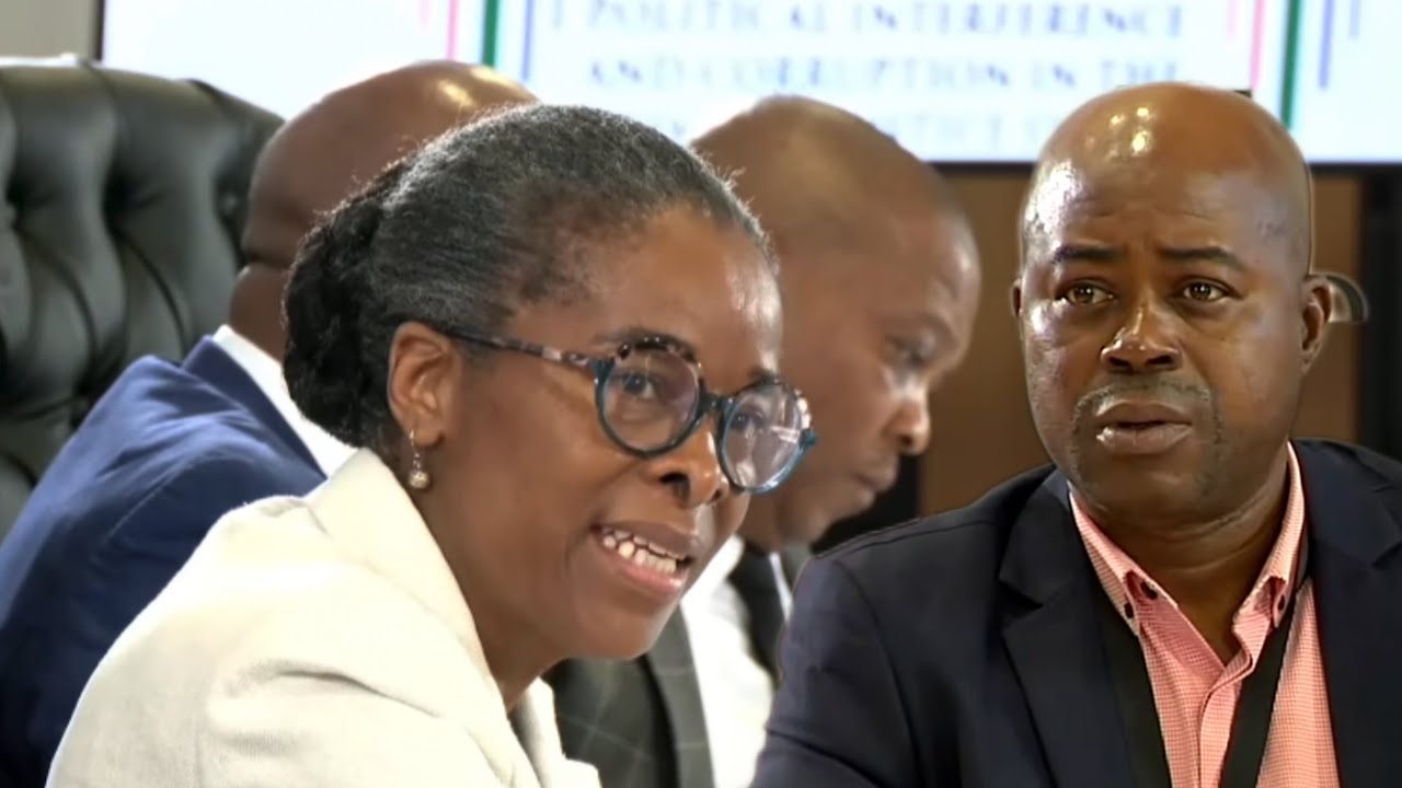 WATCH | Magagula stops short of criticism but says IPID was burdened with 727 cases