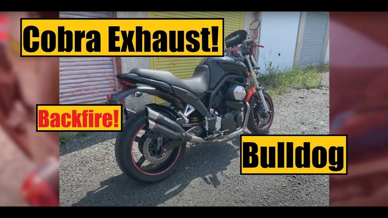 Yamaha Bulldog BT1100 Exhaust Sound | Dominator | Laser | GPR | Bos | Ixil | Barracuda | Akrapovic