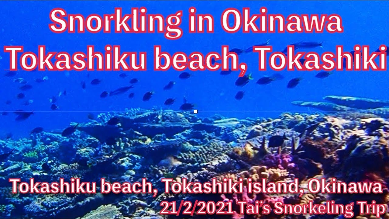 【#21 Tai’s Snorkeling Trip in Okinawa】Tokashiku Beach, Tokashiki island, Okinawa, Japan