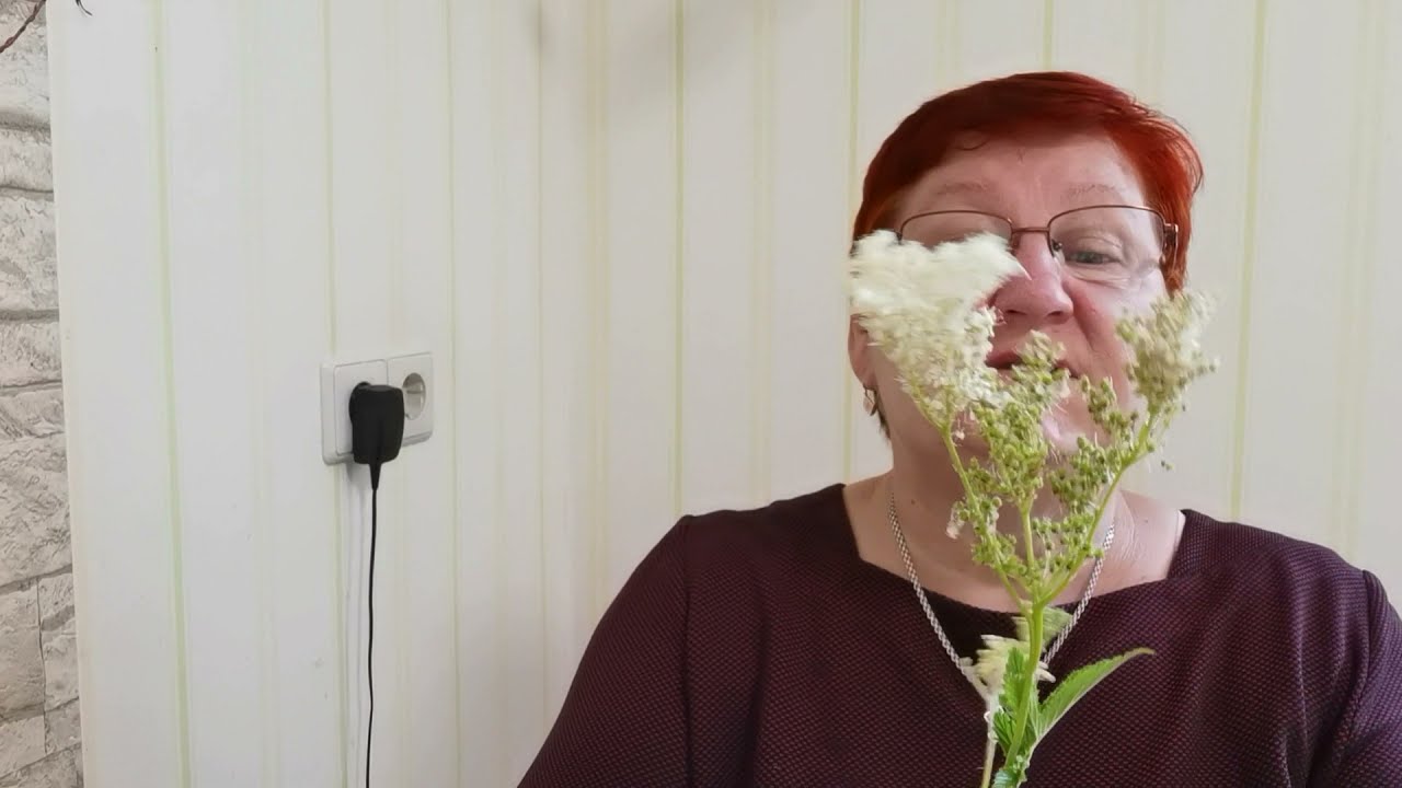 ВИТАМИНЫ и ТРАВЯНОЙ ЧАЙ на ЗИМУ!🍵😄/ 153