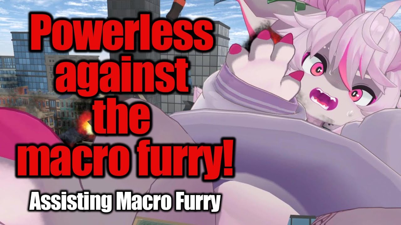 We are powerless in front of the macro furry.