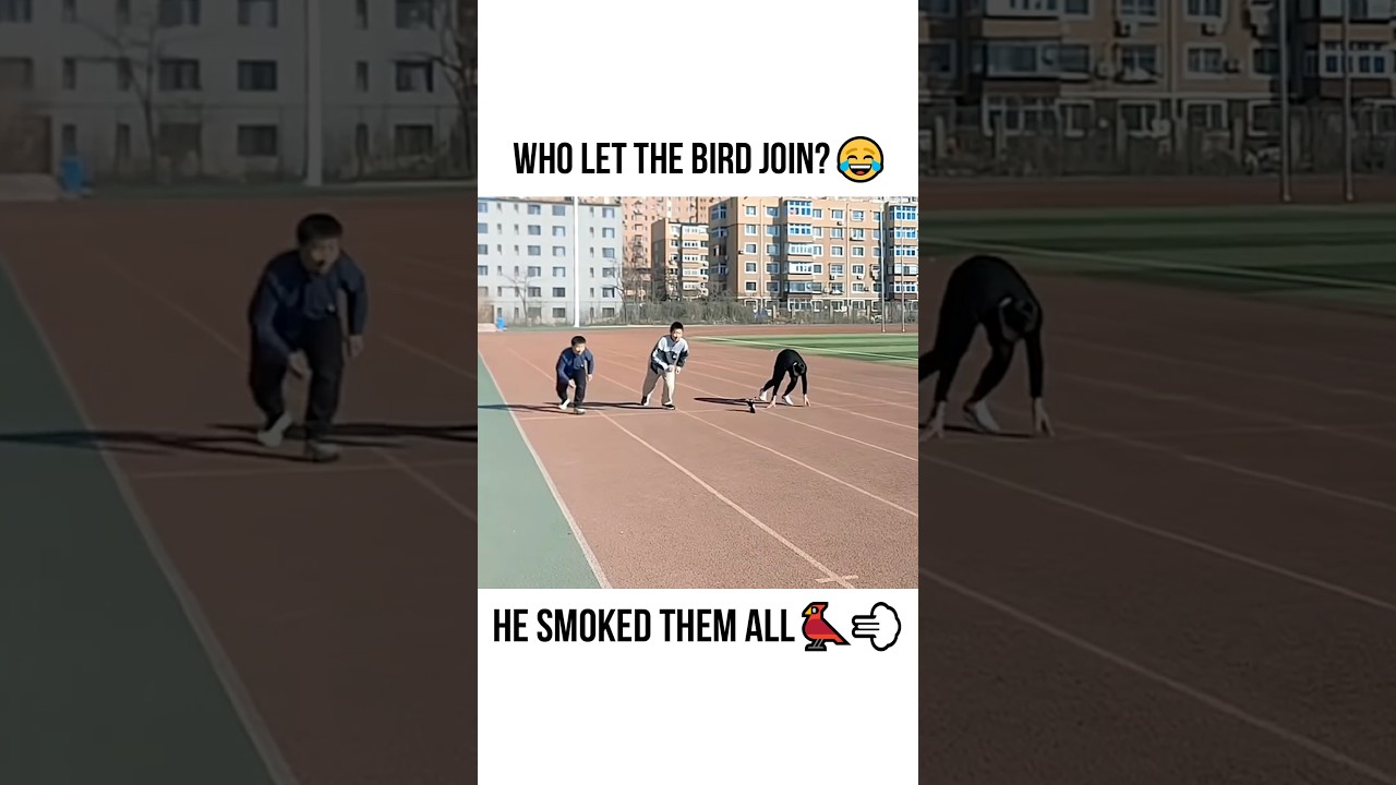 The Funniest Fails On The Internet 🤣
