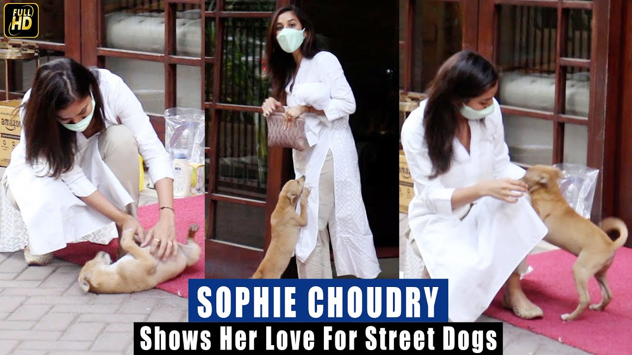Sophie Choudhury Cuddles little Stray Dog & Shows her Love for street Dogs