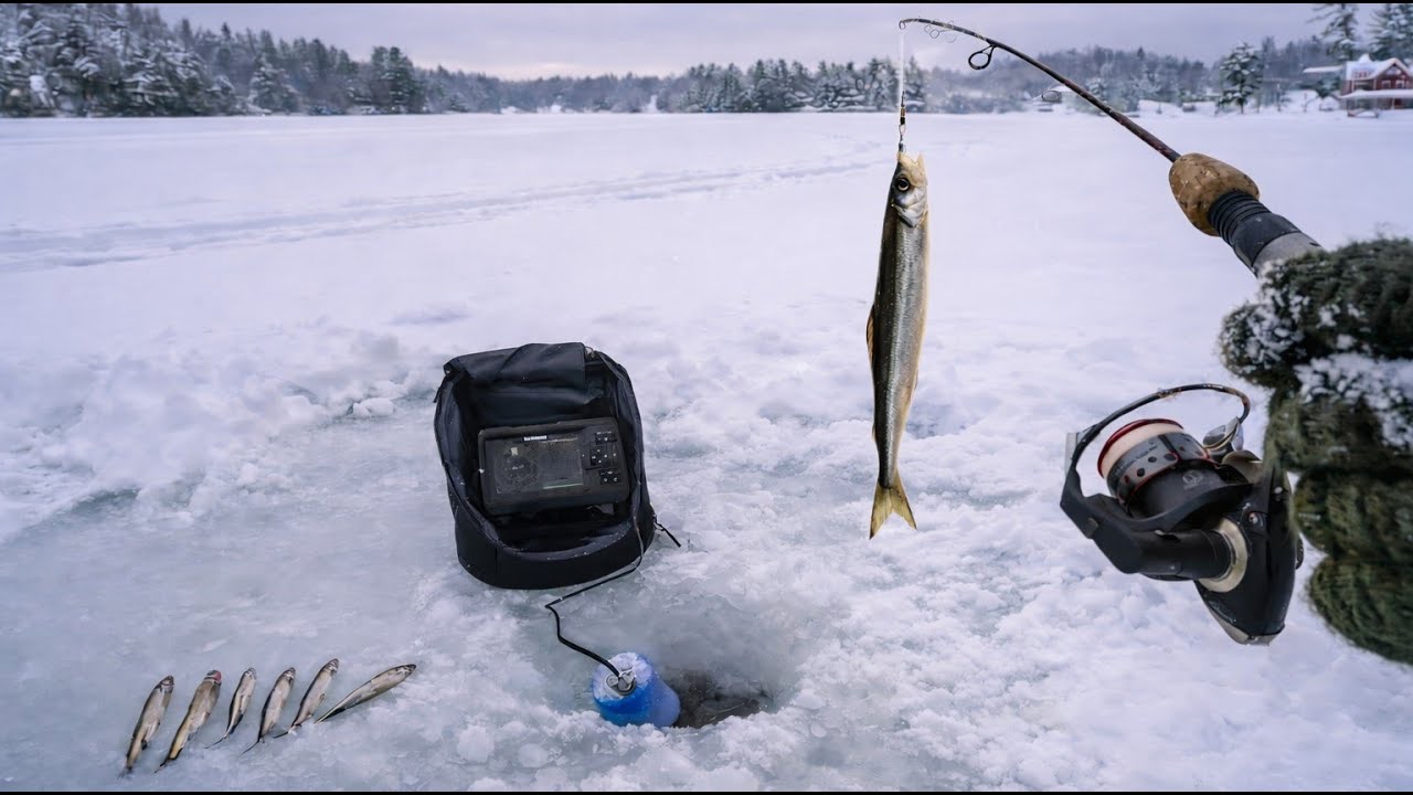 My First Time Ice Fishing for Smelt (Catch & Cook) Is it Worth it?