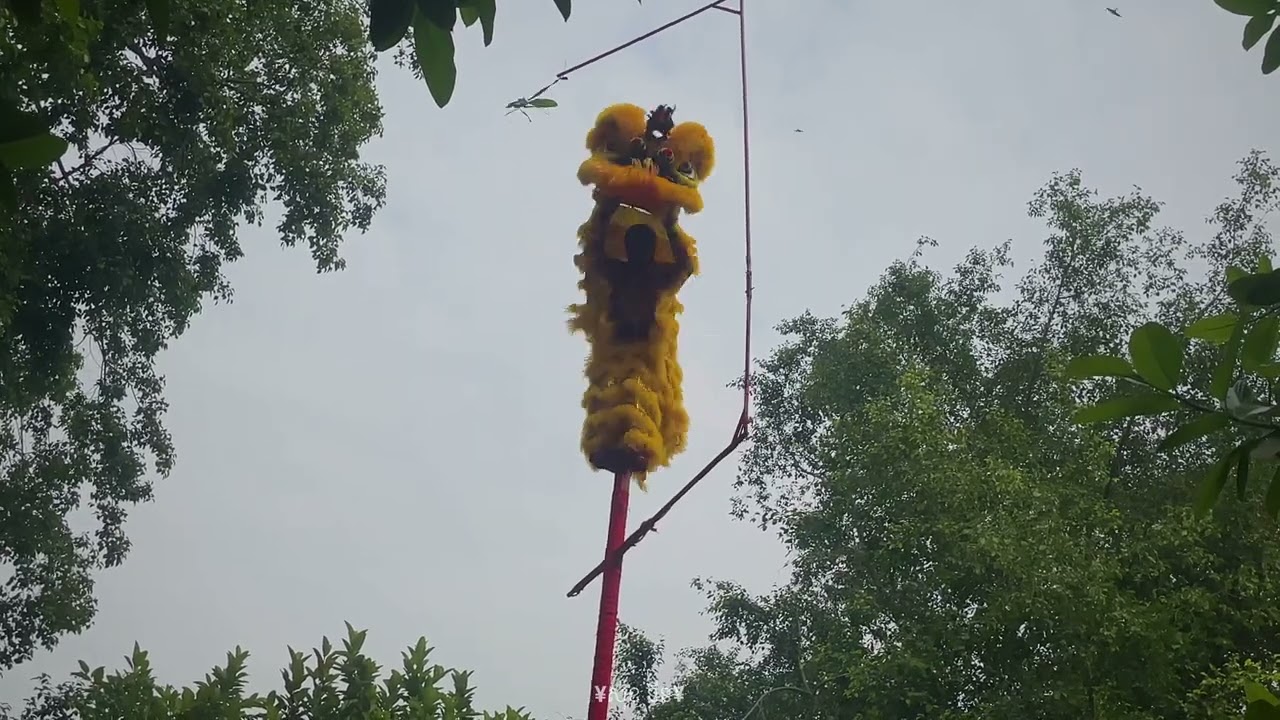 Takhmau Lion Dance troupe performing on high poles at Bo Se Temple,Takhmau, Kandal Province. Part 4