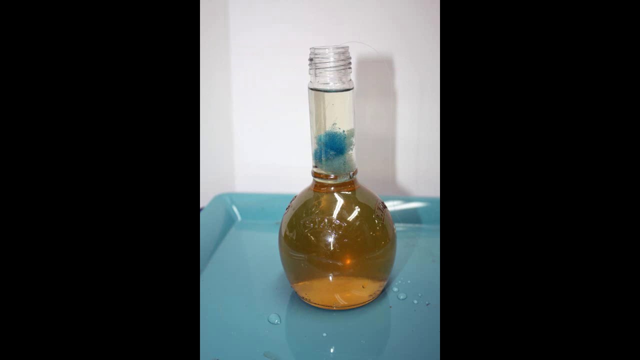 Harvesting and Feeding Vinegar EelsTake 2