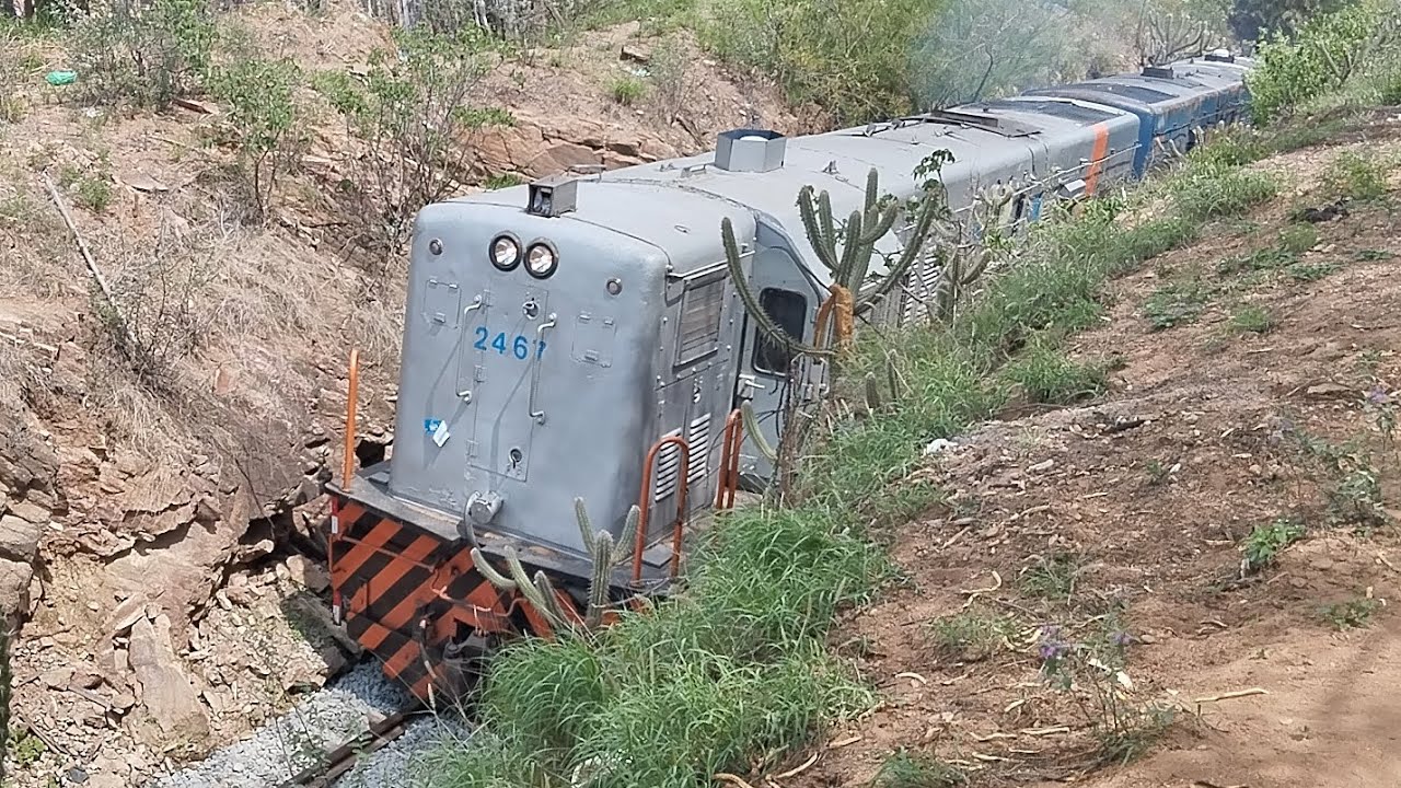 TREM CARGUEIRO COM QUATRO LOCOMOTIVAS E UMA COMPOSIÇÃO DE 30 A 40 VAGÕES DE CROMO VAZIOS
