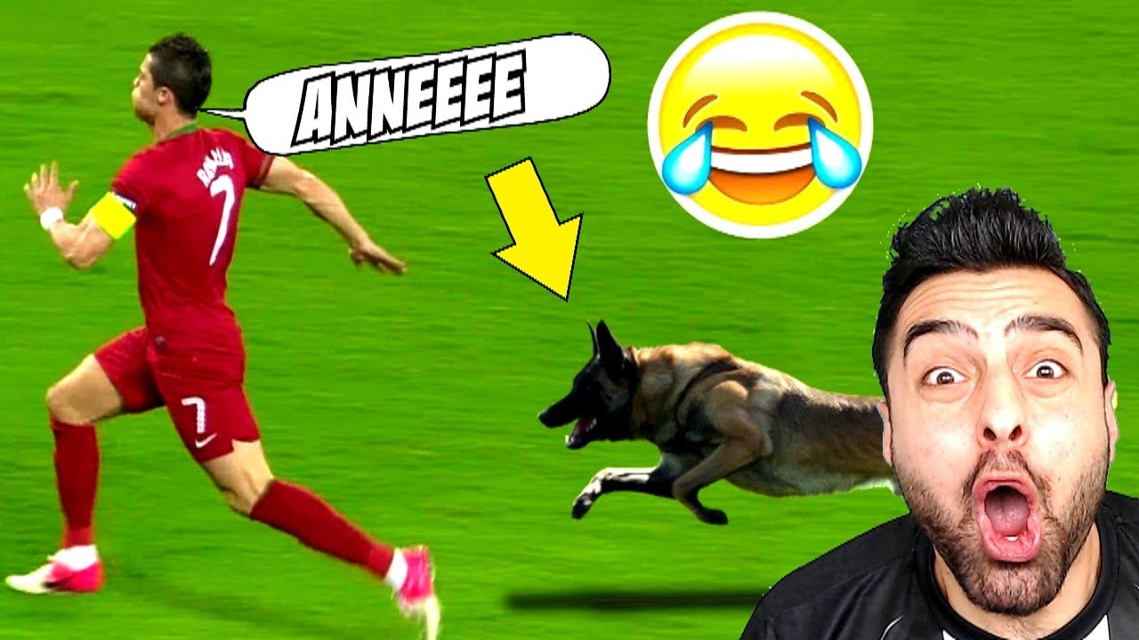 FUTBOL SAHASINA GIREN ÇILGIN HAYVANLAR !