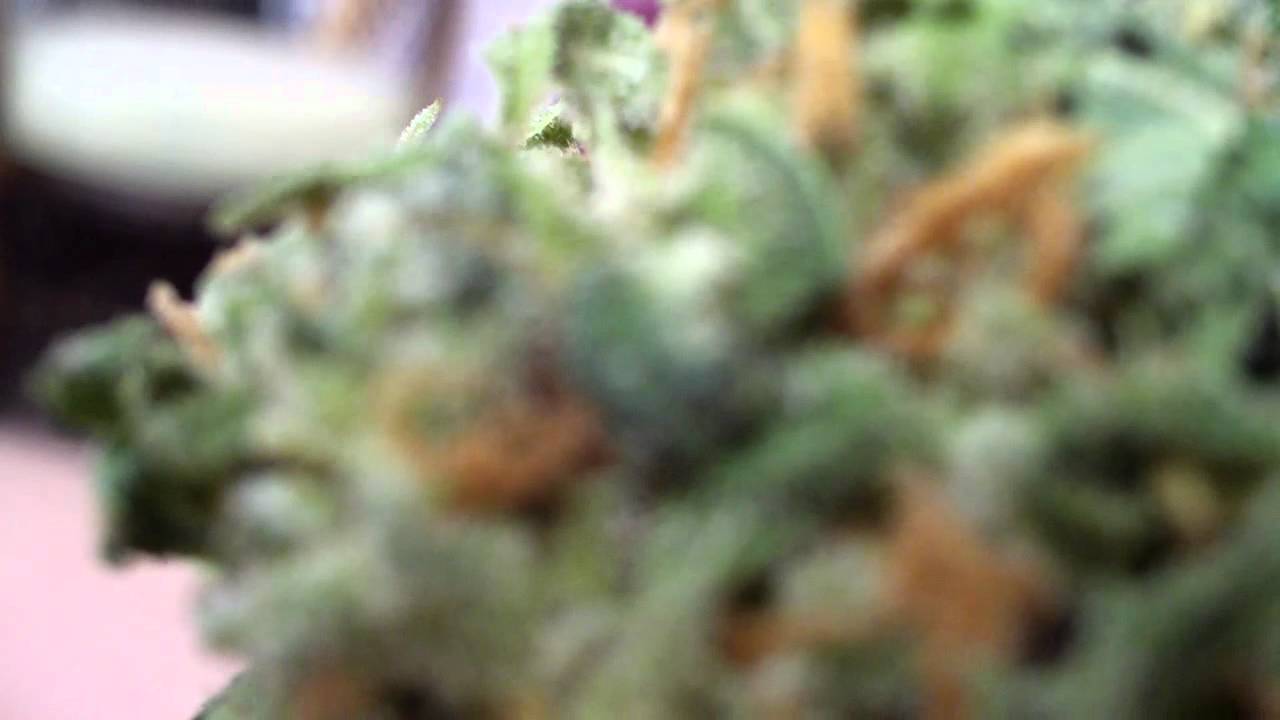 Banana Flo Nug