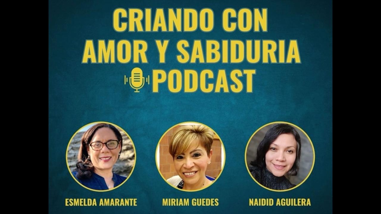 Capítulo 8: El hijo que soñaste vs. el hijo que tienes