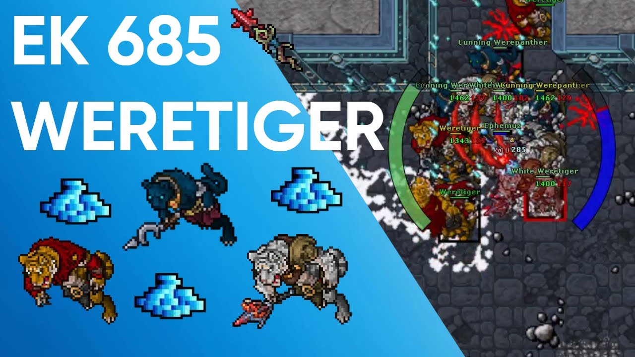 EK 686 Hunt Weretiger 4kk/h Raw + 1kk Profit - Tibia Hunt