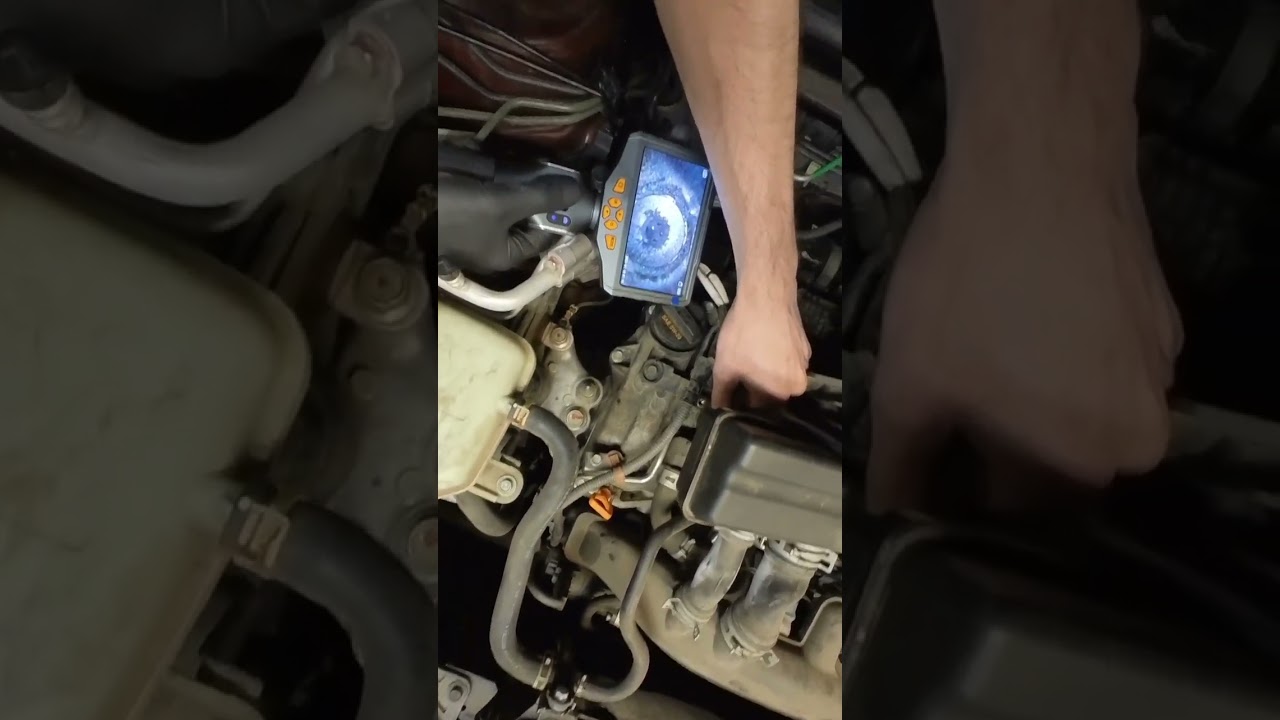 Automotive Borescope Inspection Camera 😗👌 #teslong #honda #borescope #endoscope #inspectioncamera