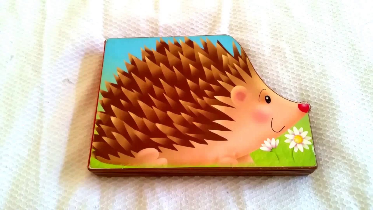 24 avis de lecture : Mini-Animaux herrisson