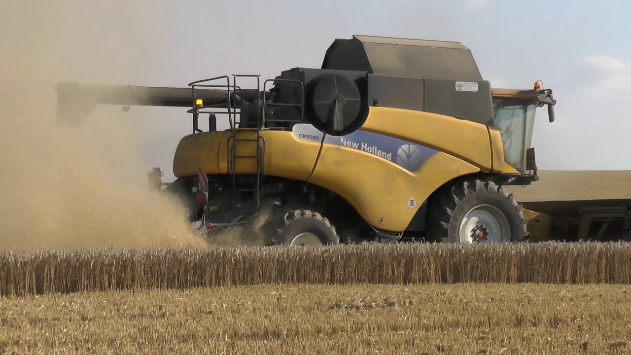 Sound pur mit Original Ton  Von Case IH Puma  beim Schwaden  von Stroh  das ein wenig nass War und a