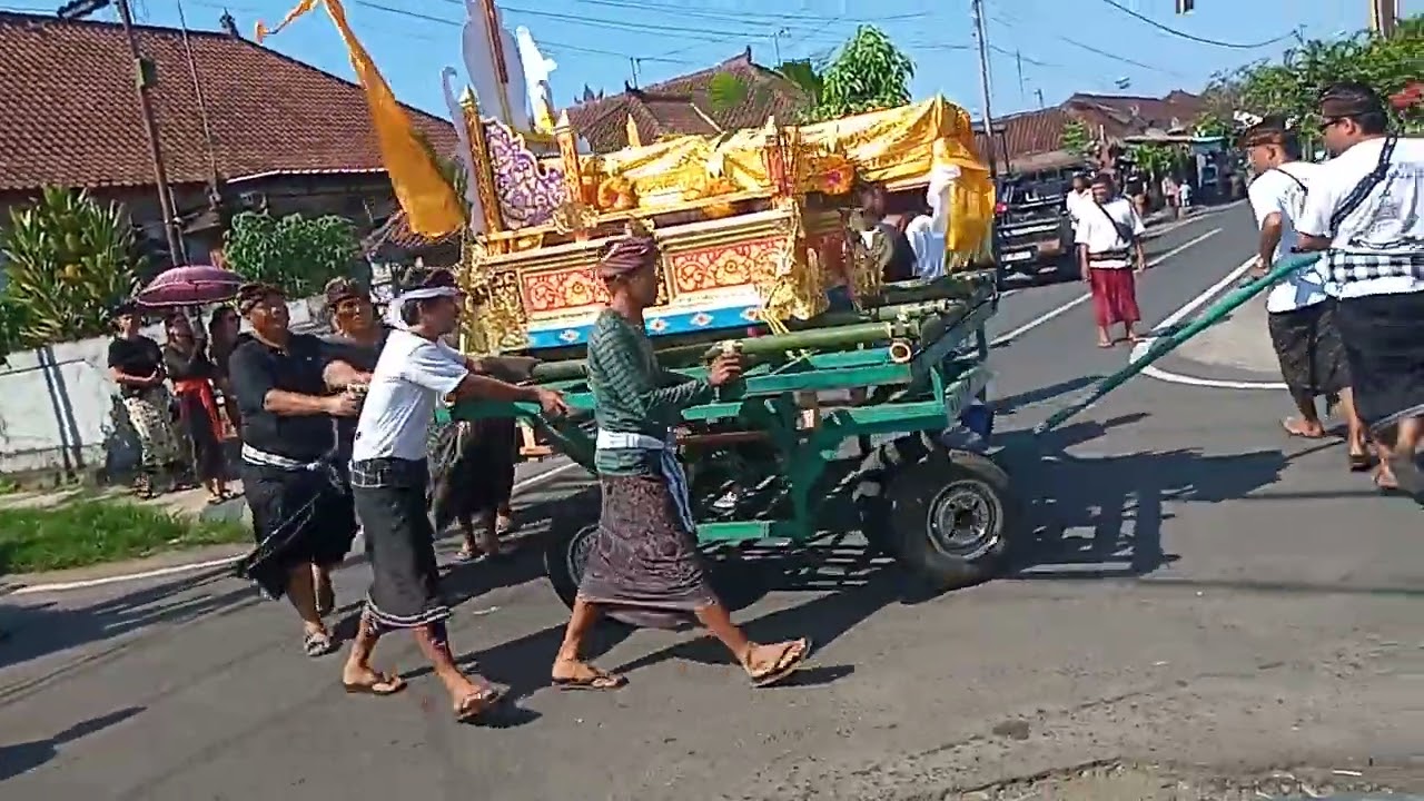 Nonton dua wadah sekaligus di Bali. subscribe
