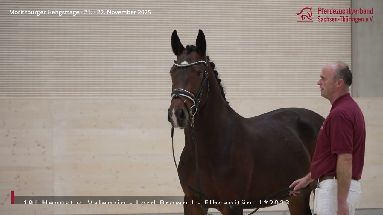 KN 19 v. Valenzio - Lord Brown l