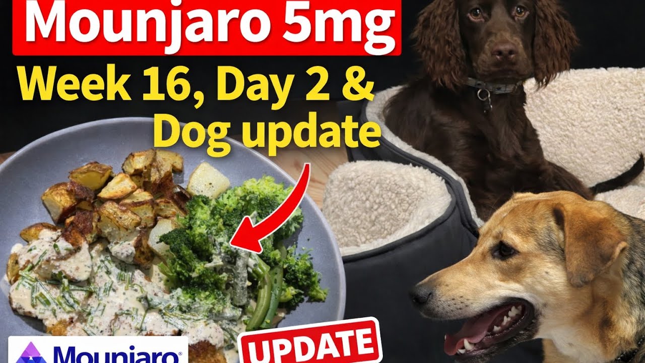 Mounjaro 5mg - What I ate today - Morris & Chester update 