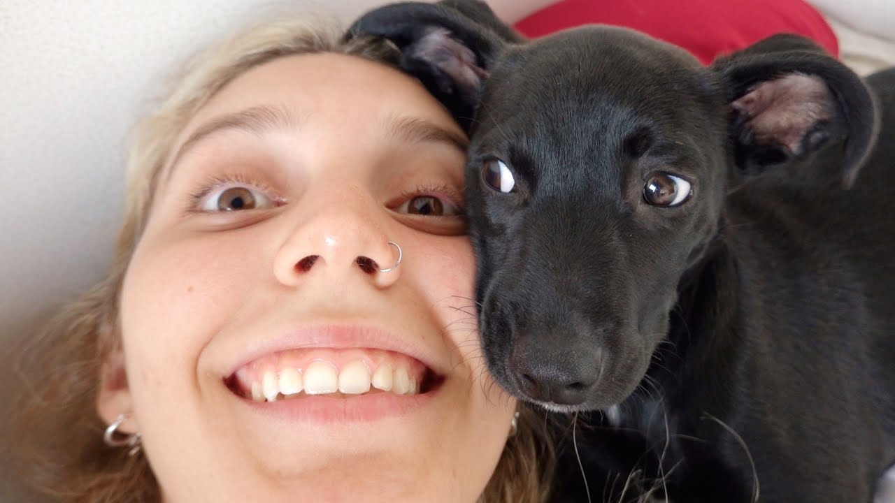 ADOPTÉ UN PERRITO???