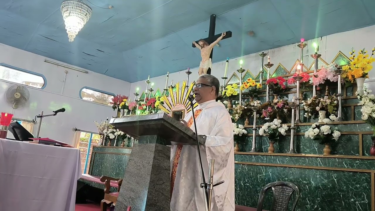 Fr. John is preaching today ( Sunday) about Baptism.