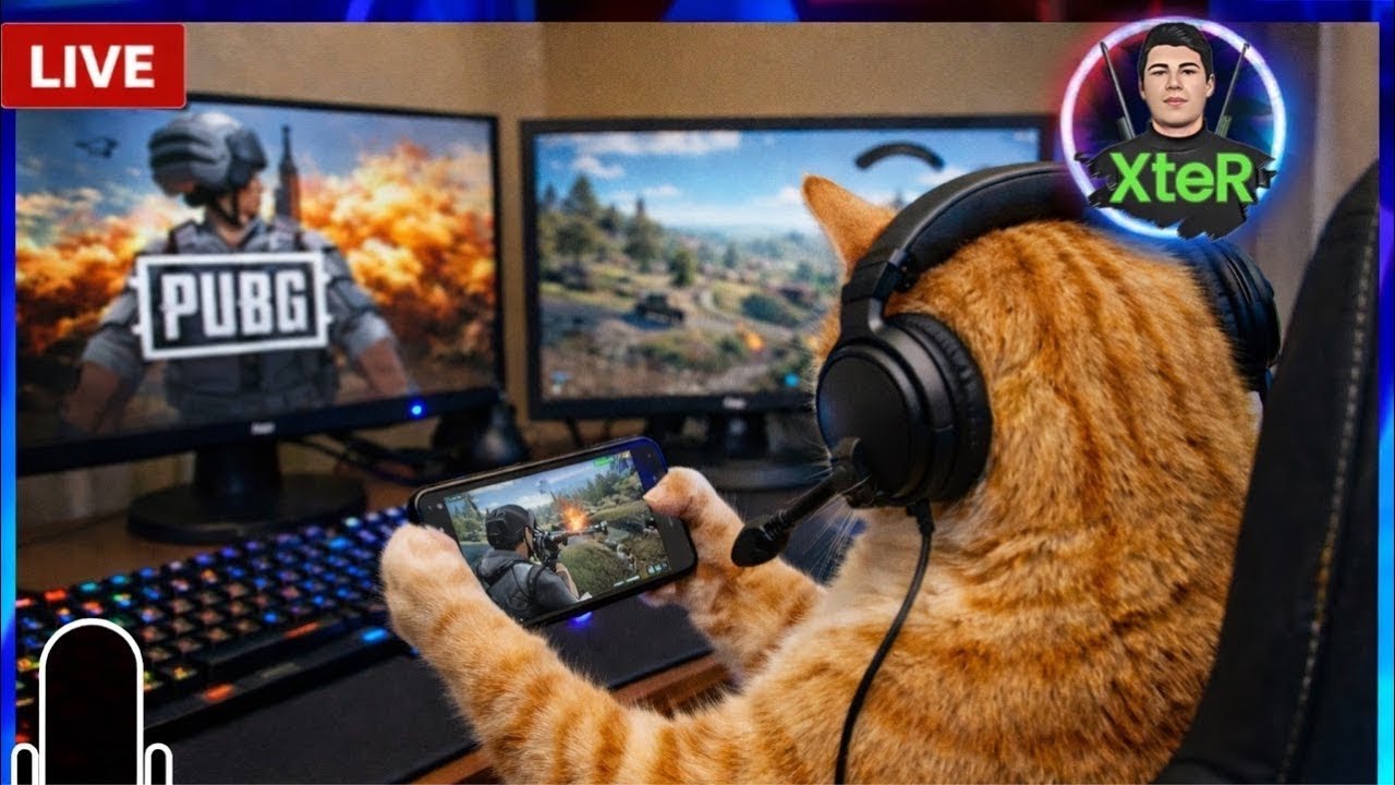Hi guys Quick Sniper & Wow & Arena game.