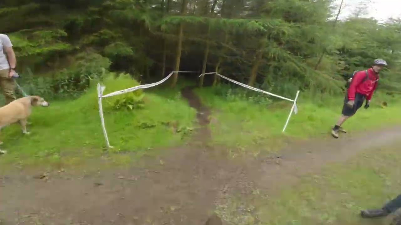 Irish Enduro Champs Ravensdale 2024 POV( Stage 2 raw)