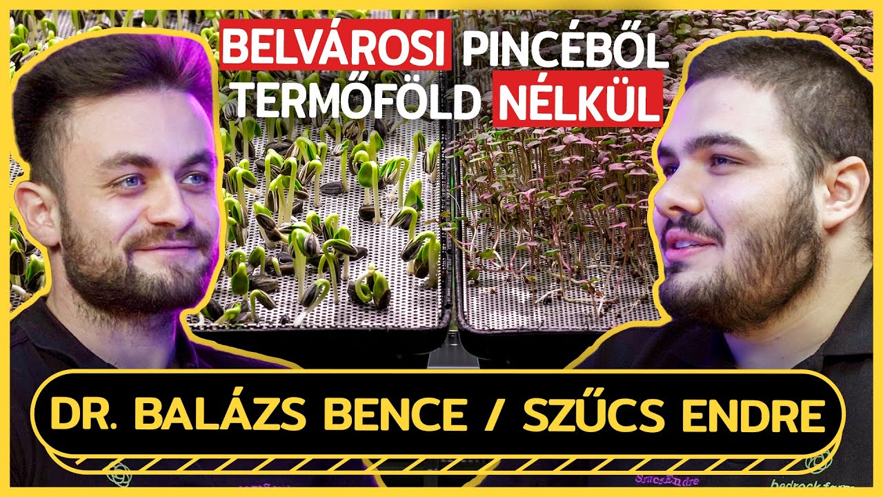 Igazán FRISS ZÖLDSÉGET télen csak tőlük tudsz venni! - Bedrock.farm - Pulicorn Podcast