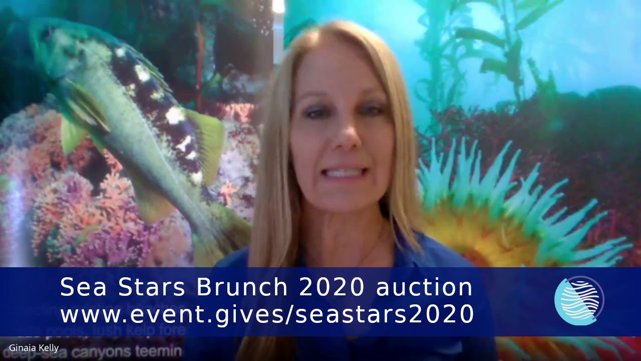 Monterey Bay National Marine Sanctuary Foundation Sea Stars Brunch