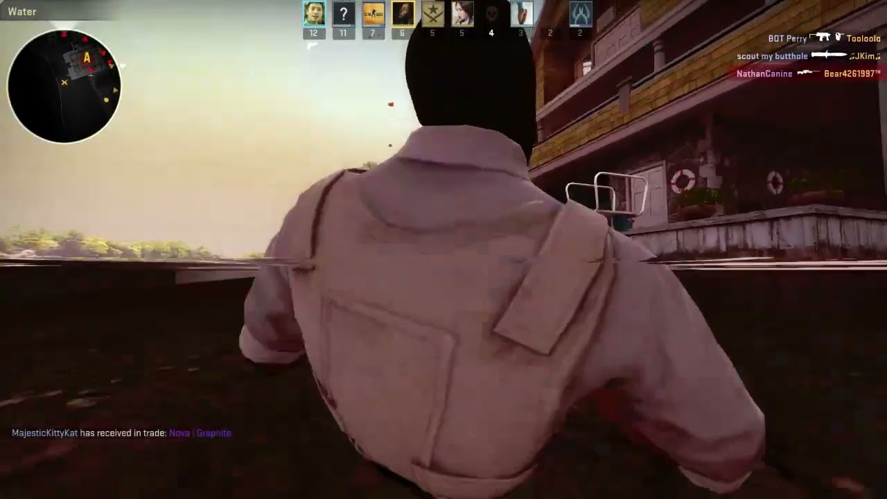 CS:GO - Bot Arms Race