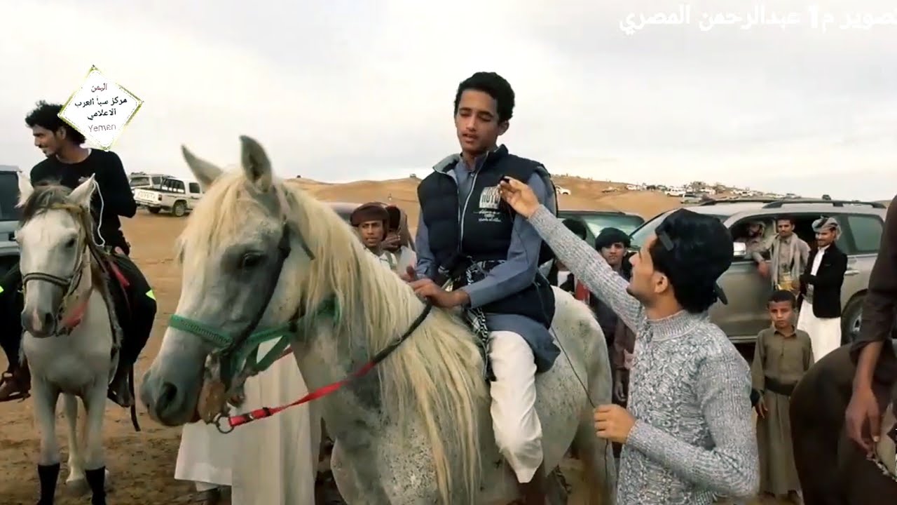 انطلاق مهرجان سباق الخيول في مارب اليمن Yemen