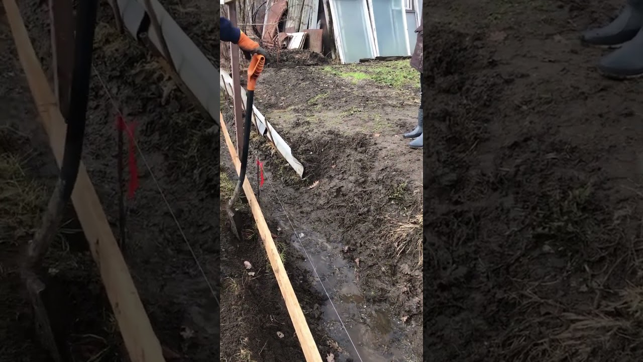 Не хочу я быть владычицей морской #соседи #заборы