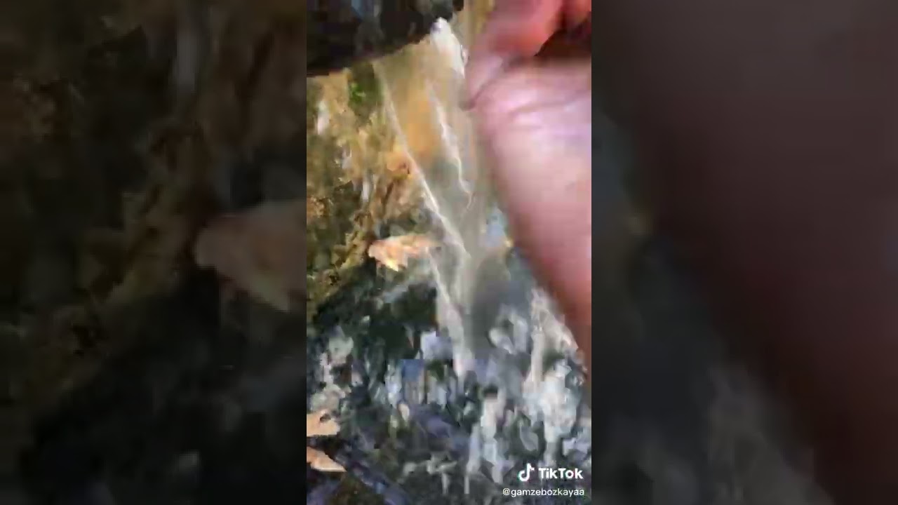 ADANA KOZAN &Ouml;ZBAŞI YAYLASI