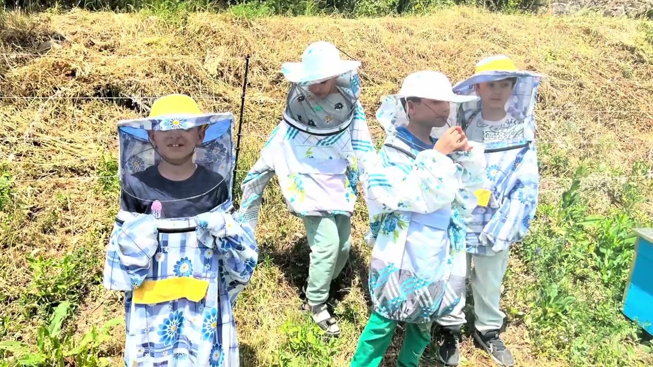 Ուսումնական բաց լաբորատորիայում՝ մեղվանոցում