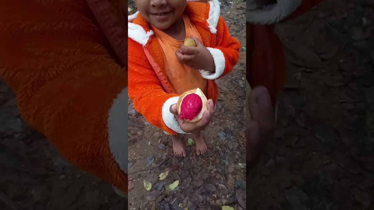#nutmeg