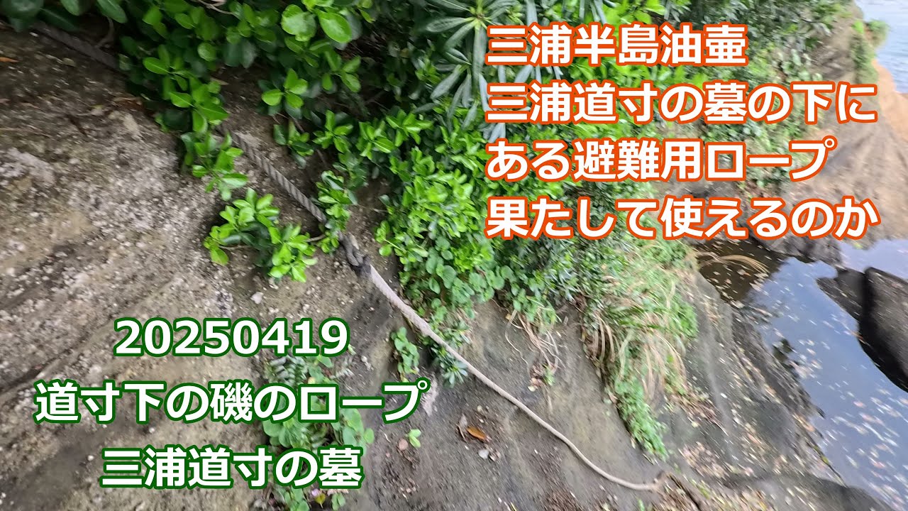 20250419三浦半島油壷、道寸下の磯のロープ、三浦道寸の墓