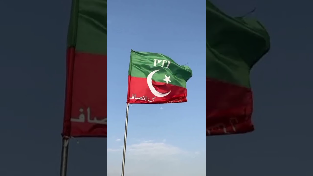 PTI Flag 😎 #imrankhan #pti #danishtamoor #youtubeshorts