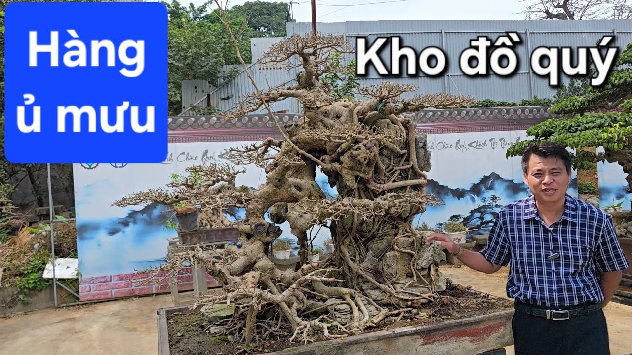 Lần đầu tiên lộ diện kho đồ quý của nhà vườn Minh Dưỡng 