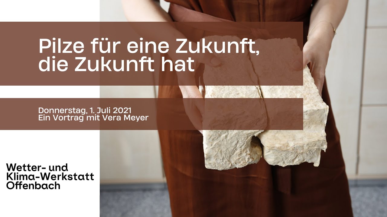 Pilze f&uuml;r eine Zukunft, die Zukunft hat!? - Ein Vortrag von Vera Meyer