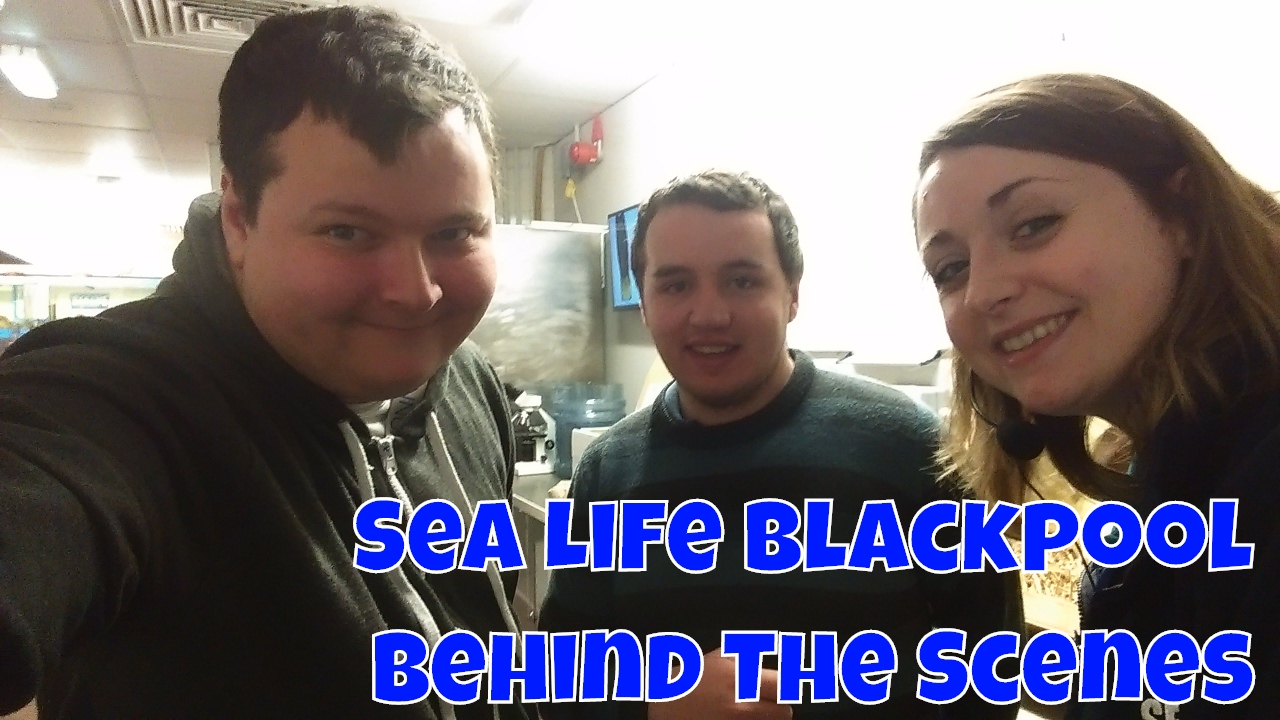 Sea Life Blackpool Behind The Scenes Tour - Sea Life Blackpool - Merlin Entertainments - SJBBVideos