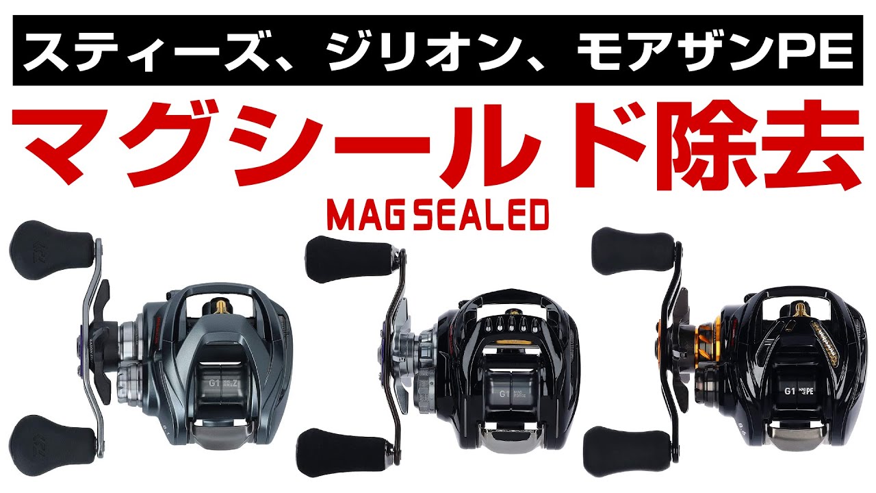 DAIWA スティーズ、ジリオン、モアザンあたりのベイトリールをマグシールドレス化する改造