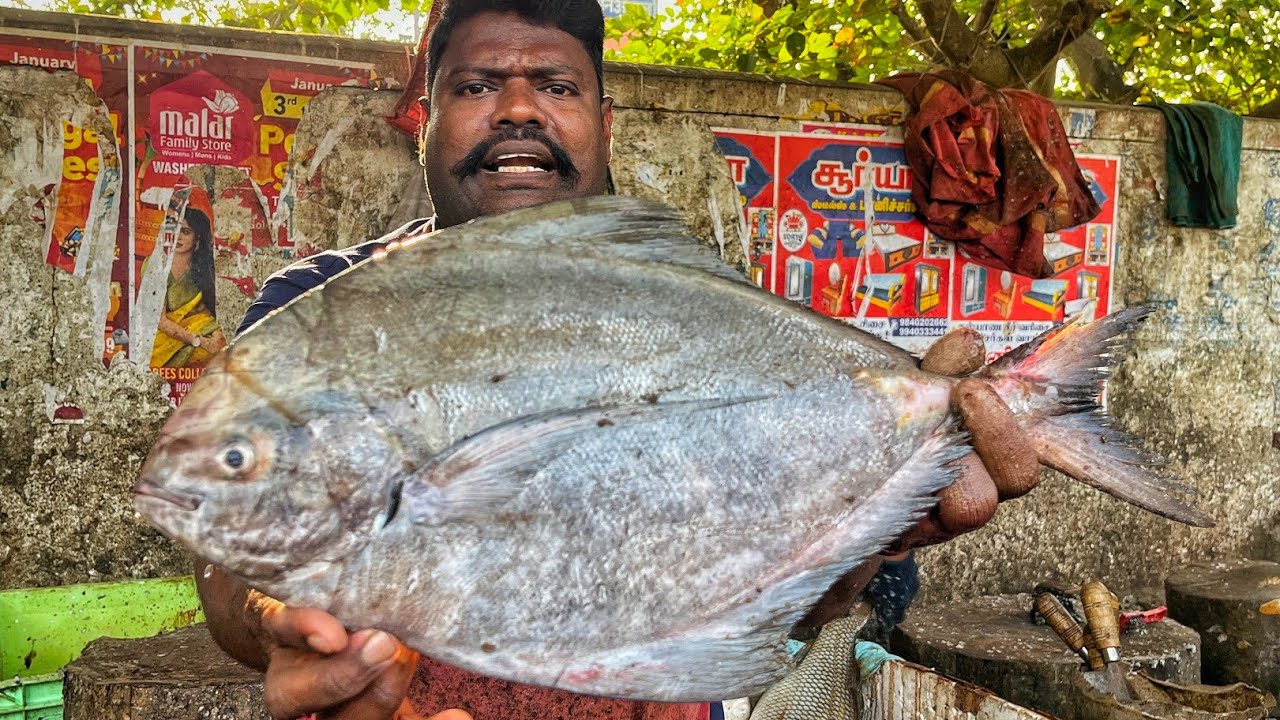 KASIMEDU 🔥 SPEED SELVAM | HUGE POMFRET FISH CUTTING VIDEO | 4K VIDEO | KM FISH CUTTING