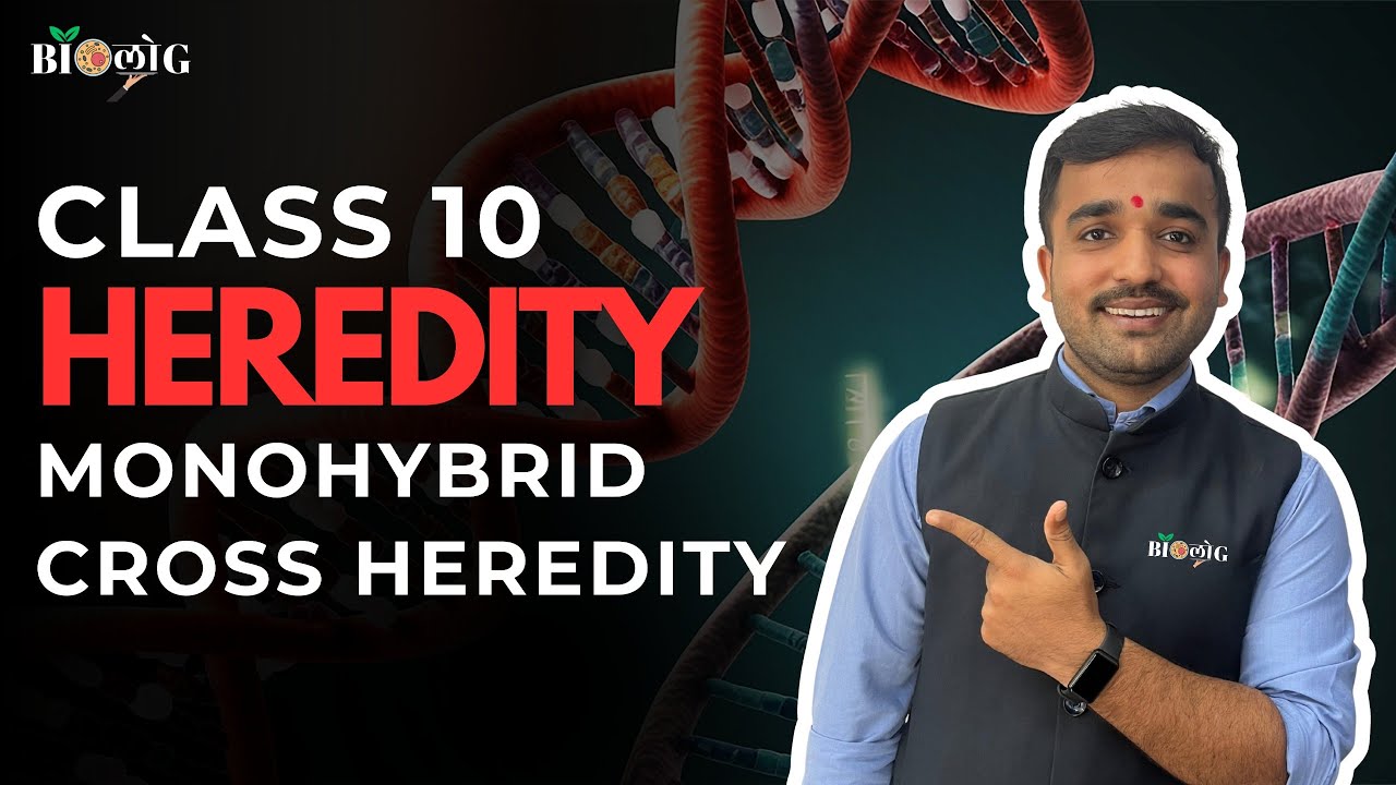 Monohybrid Cross Made Easy 🧬 | Heredity Class 10 | Mendel’s Magic Explained | Board Exam Sure Shot ✨