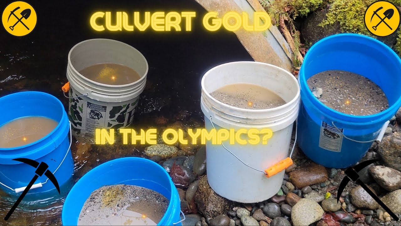 Culvert Gold and Massive Black Sands from Washington Olympic Mountains - Finding Culvert Gold