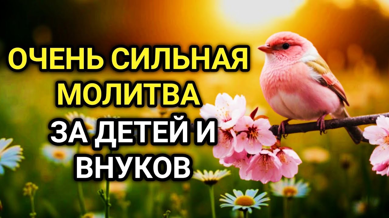 💖✨ УСПЕЙ ВКЛЮЧИТЬ 1раз! СЧАСТЬЕ ВОЙДЁТ В ДОМ, А ПРОБЛЕМЫ ИСЧЕЗНУТ САМИ! Это Чудо 🤲✨