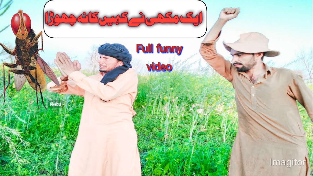 Video ka chaska  Ek Makkhi Ne Kahin ka Chhoda  Mariam  Hayat Pandu  chairman goga 
