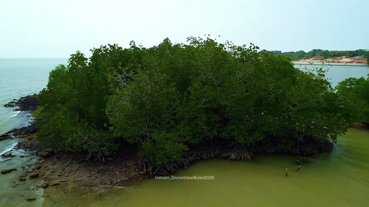 Jeti Nelayan Kampung Teluk Pelanduk, Port Dickson | Negeri Sembilan