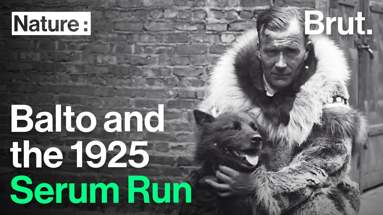 How Dogs Saved a Whole Village from a Lethal Disease