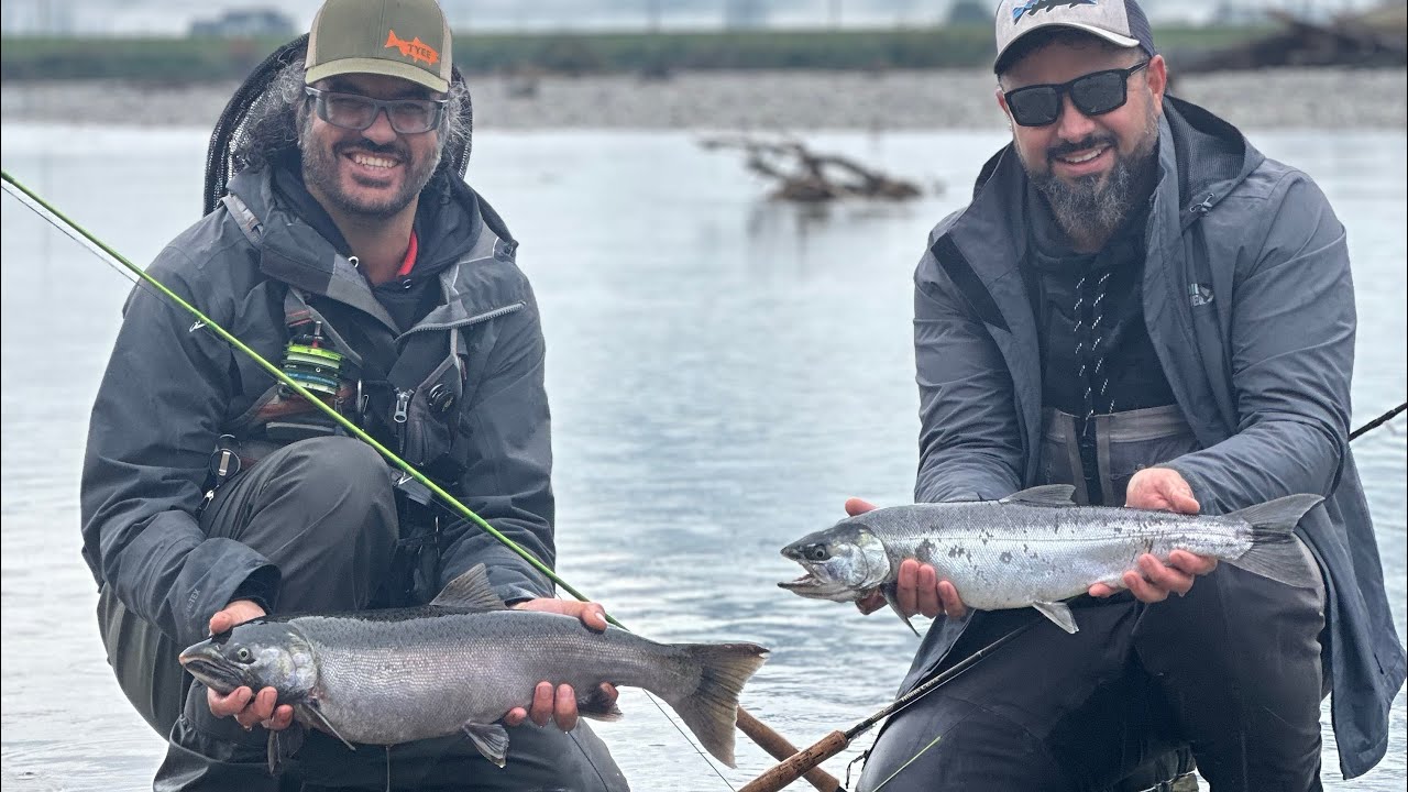 Fly fishing for coho vedder river chilliwack